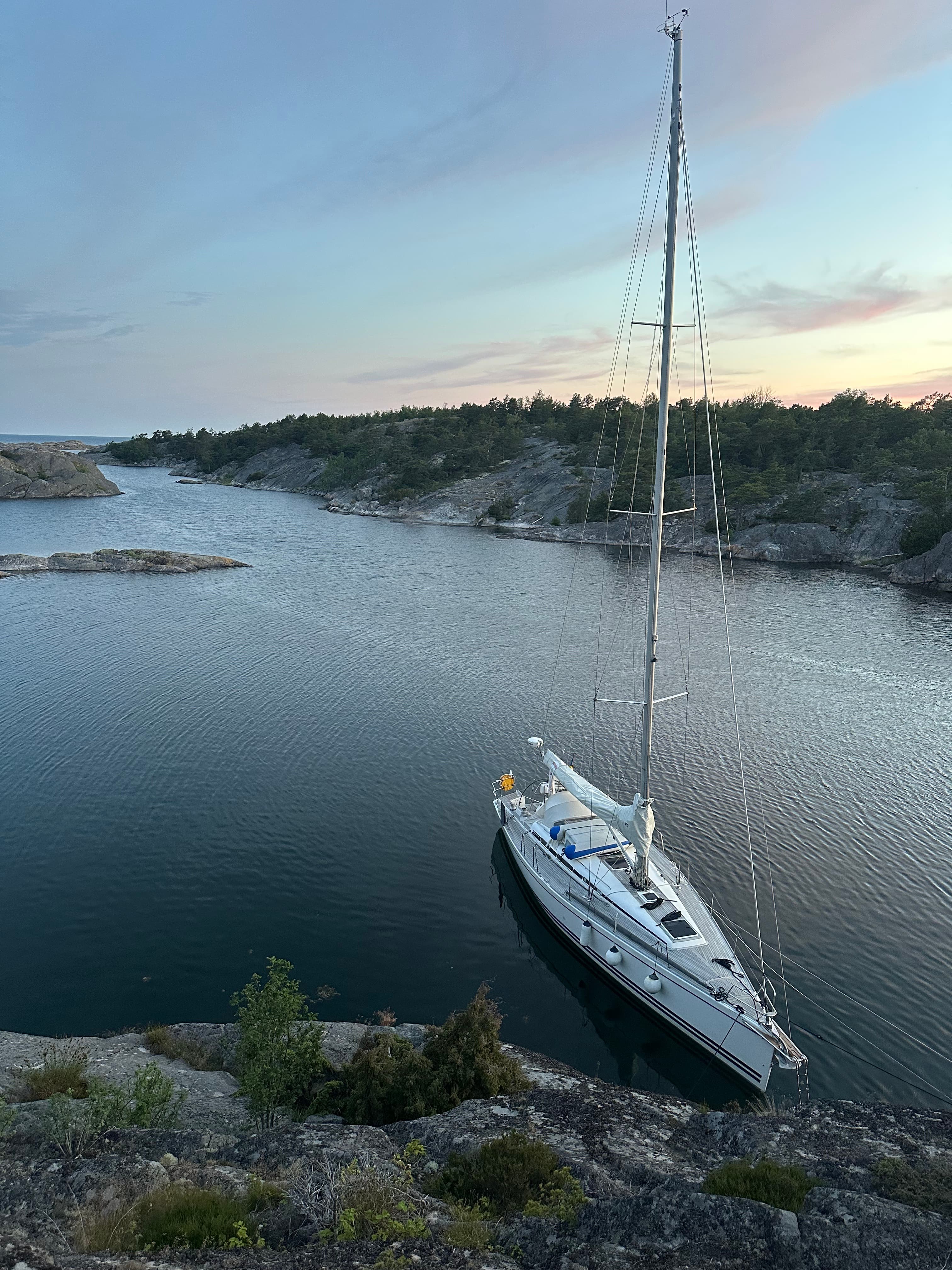 Iris from above at anchor