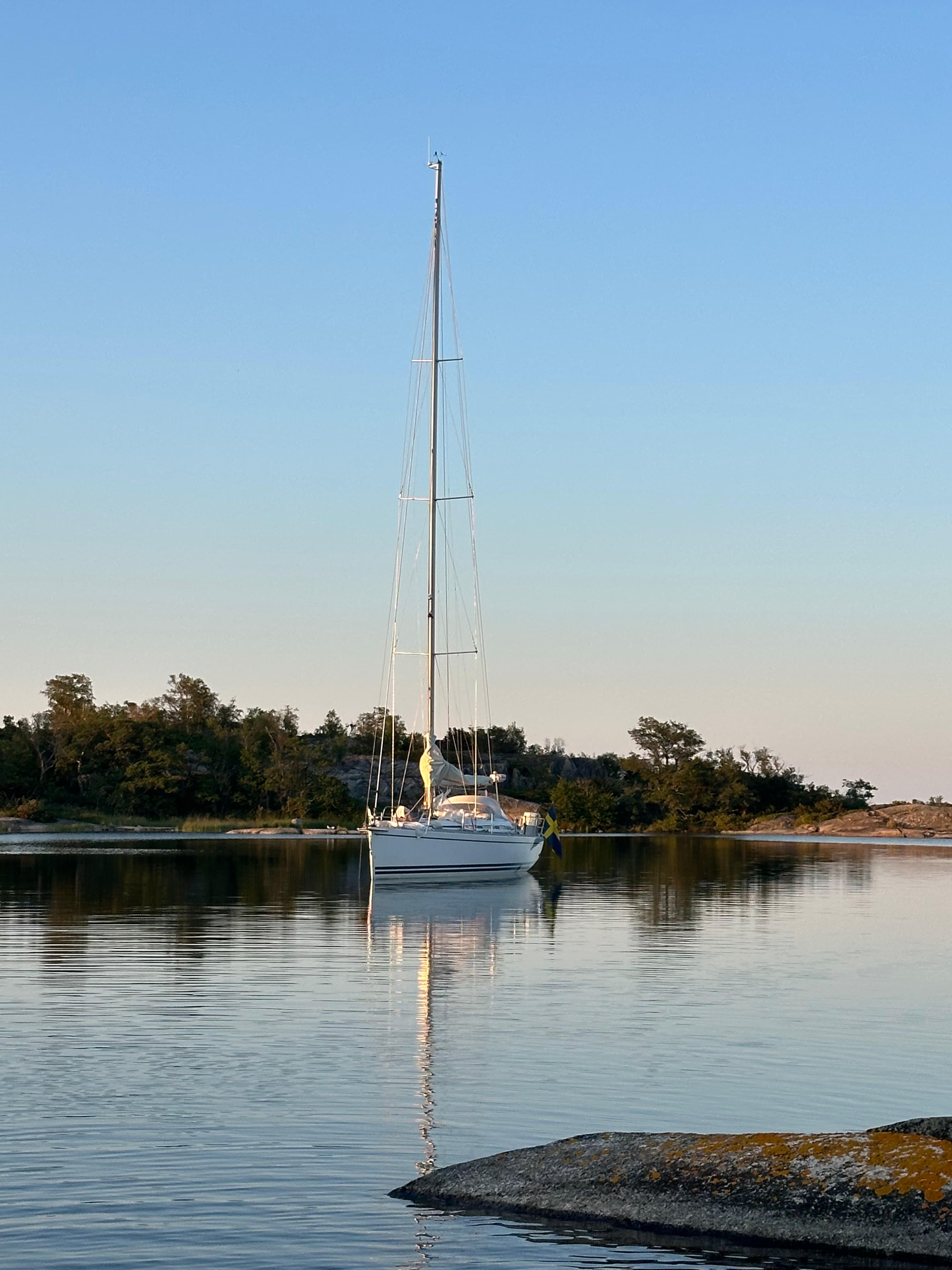 Iris at anchor