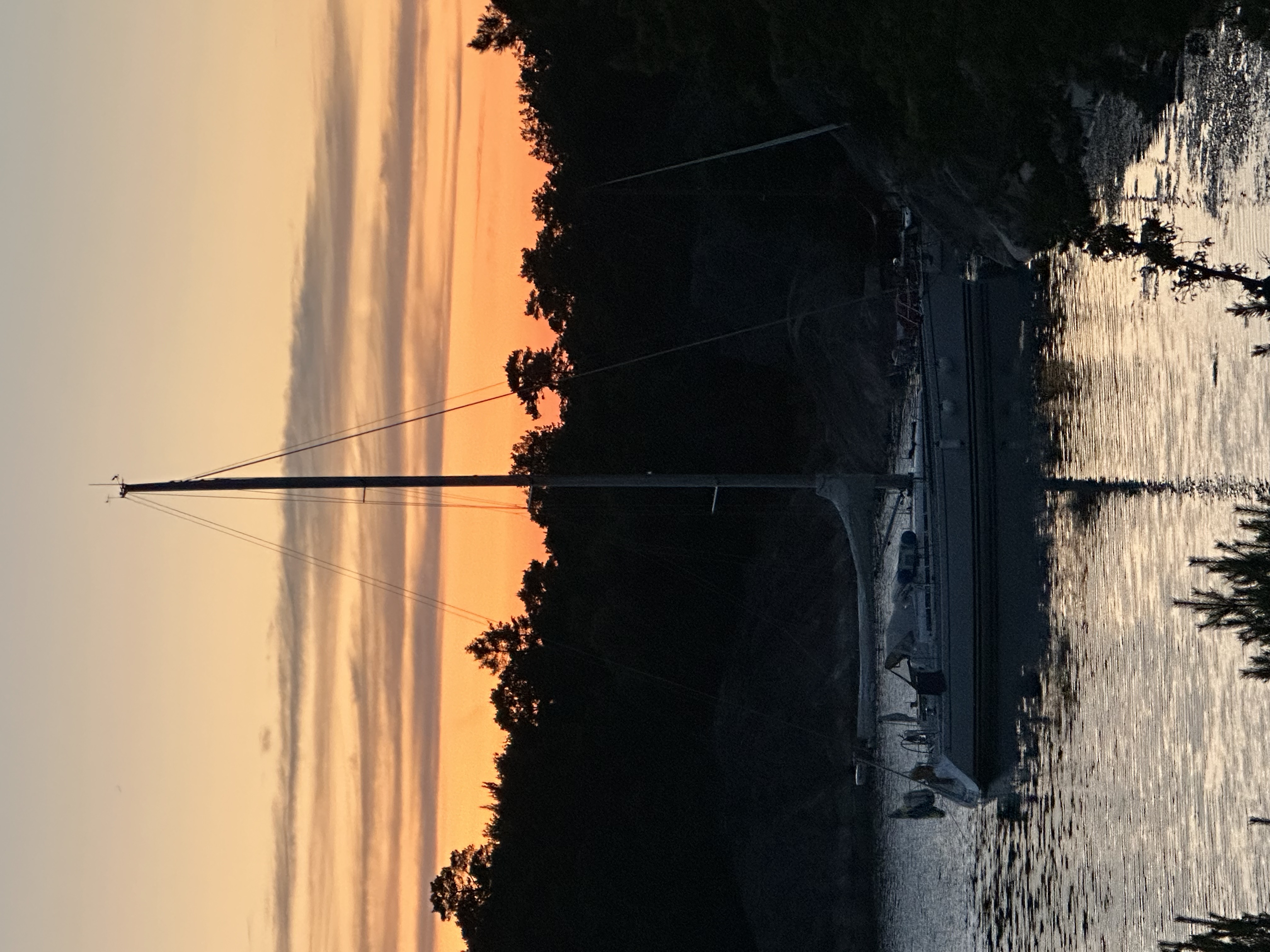 Iris in silhouette against the glowing sky